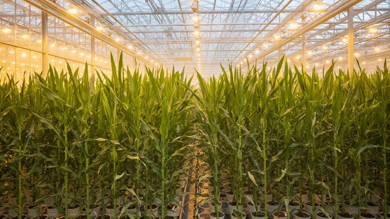 Sustainability in Arizona Bayer United States